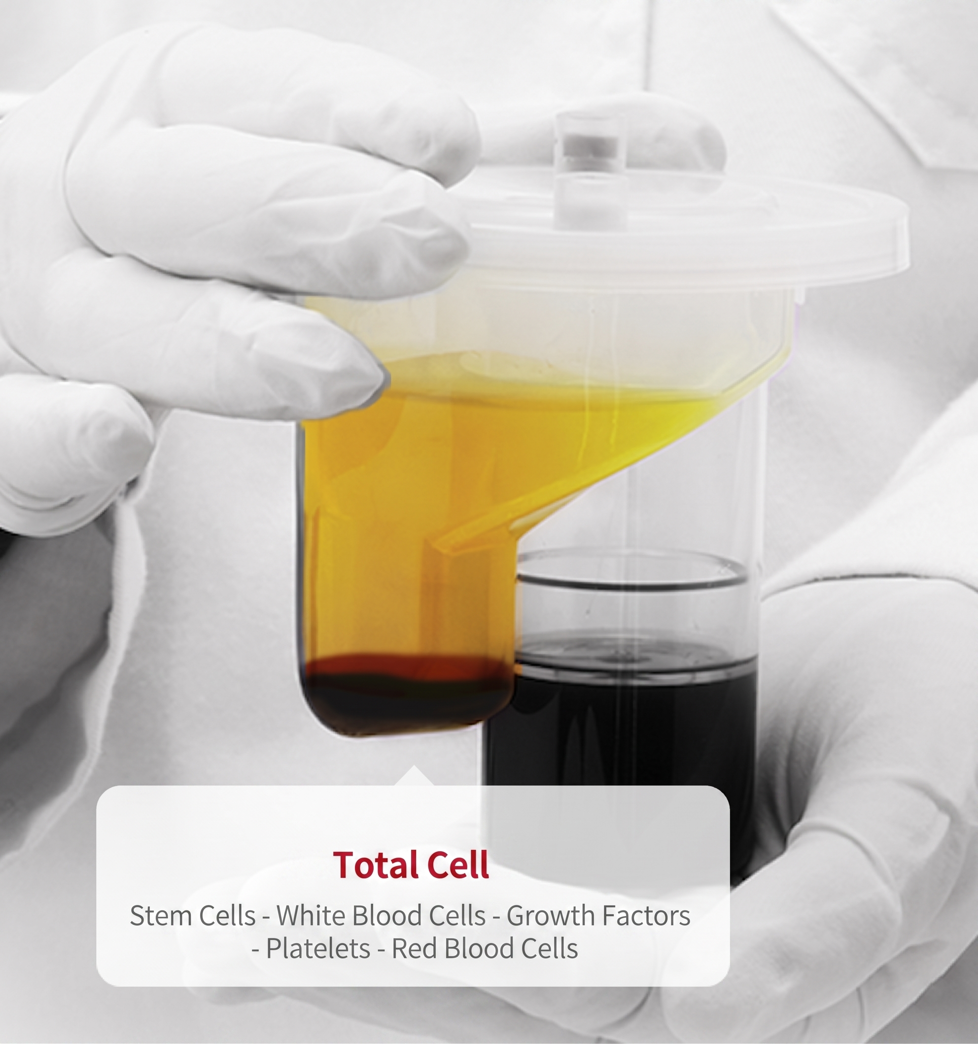 PRP & Stem Cell Therapy — illustration